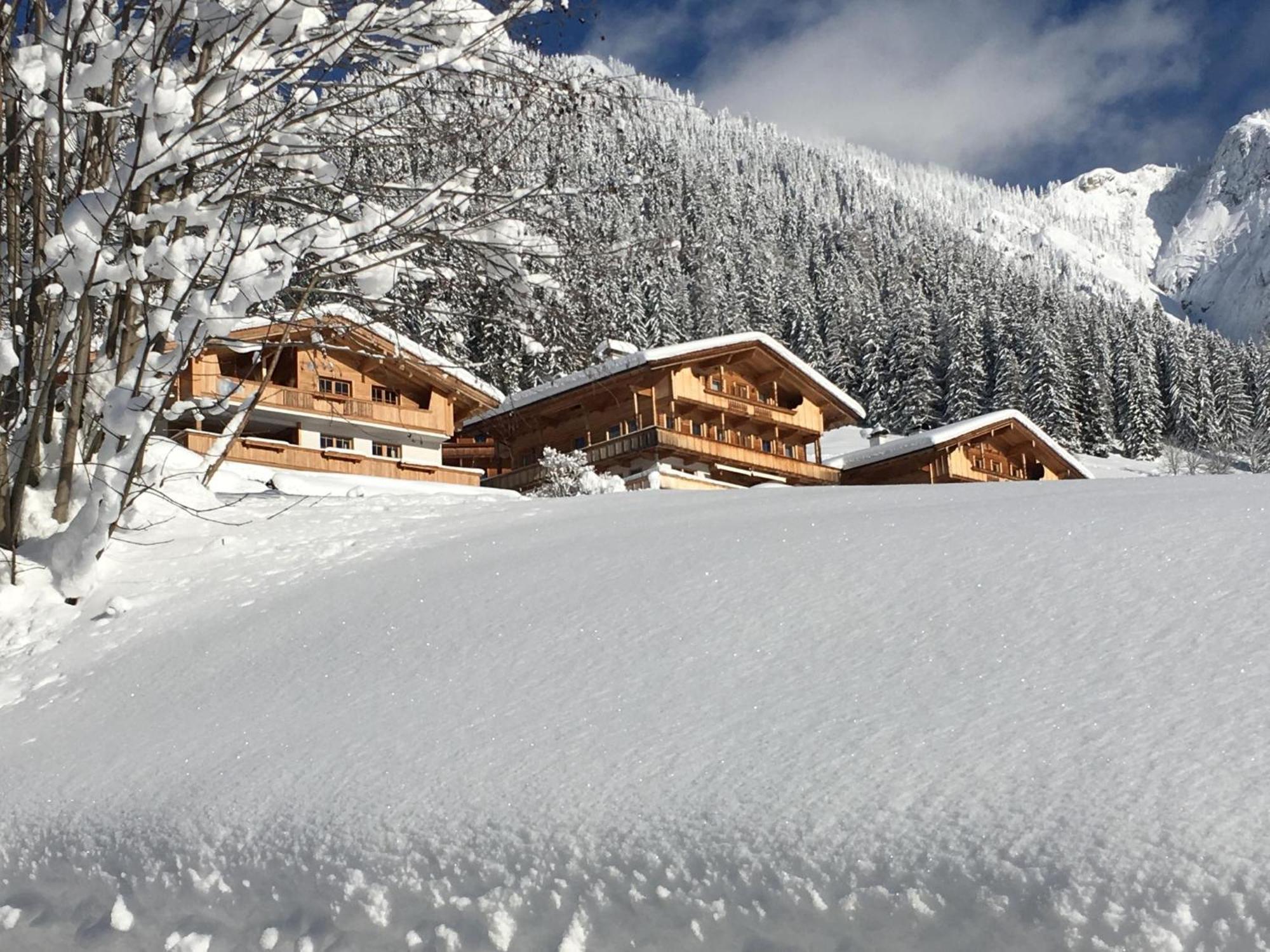 Haus Fernwald Top Tim Und Nynke Alpbach Eksteriør billede