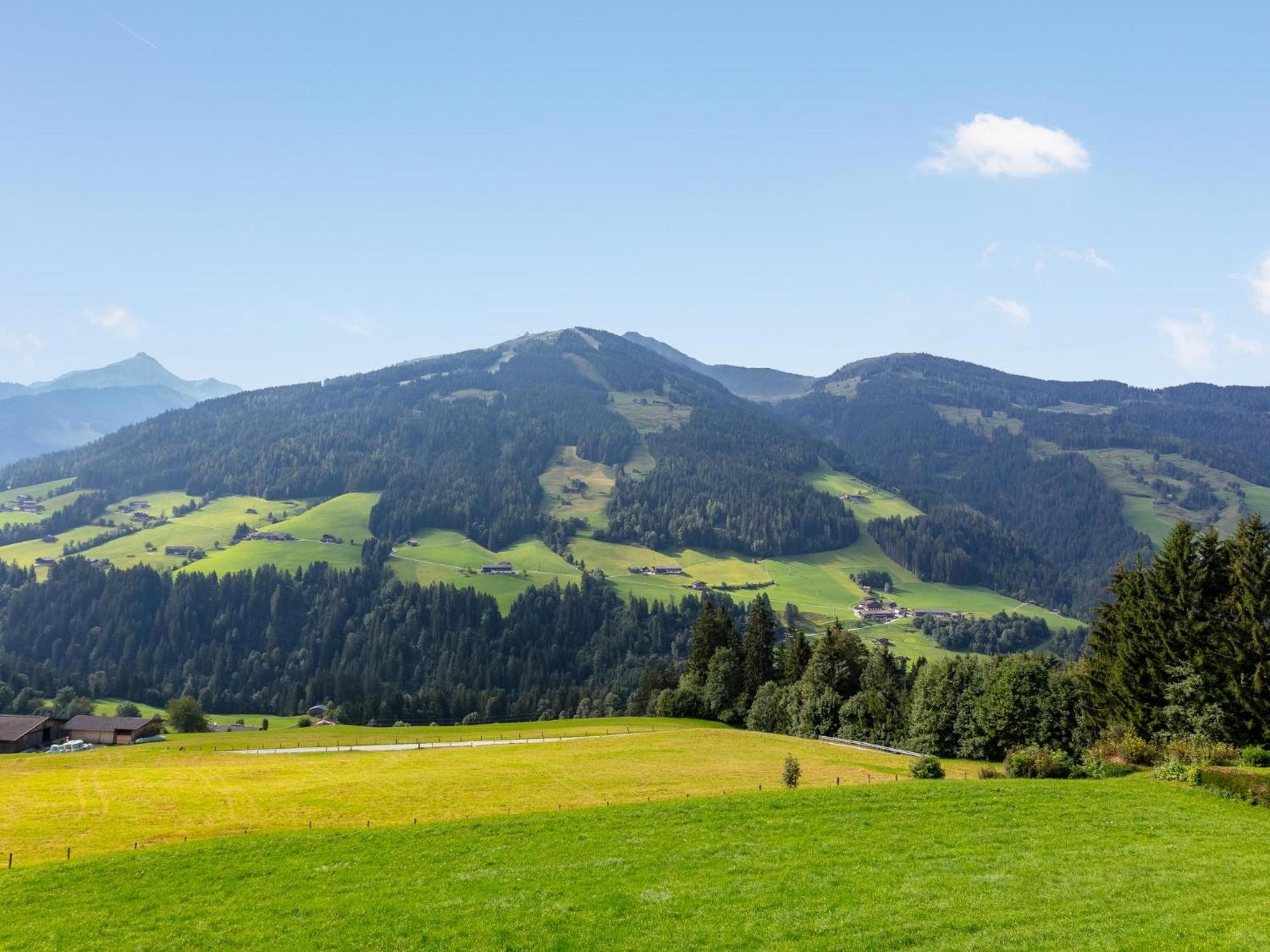 Haus Fernwald Top Tim Und Nynke Alpbach Eksteriør billede